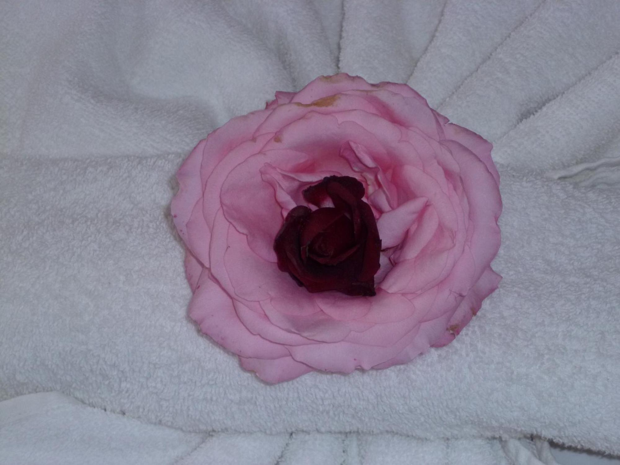 Rose Village 2* Slantschew brjag
