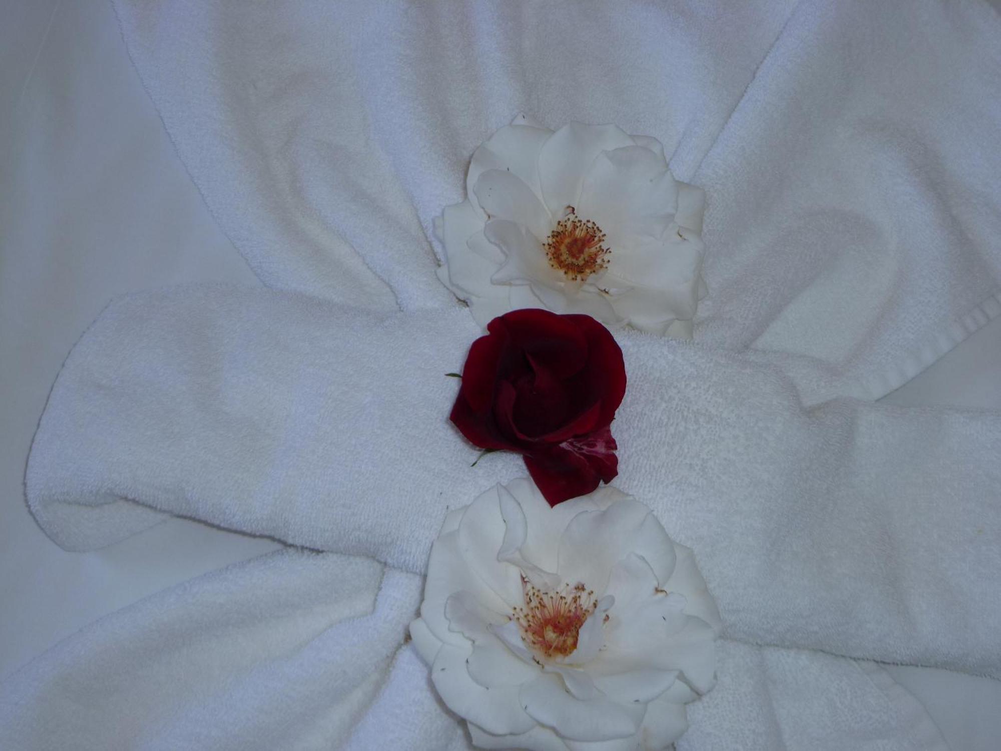 Aparthotel Rose Village Slantschew brjag